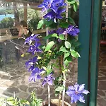 Le Maior * Brenzone sul Garda