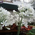 Le Maior *