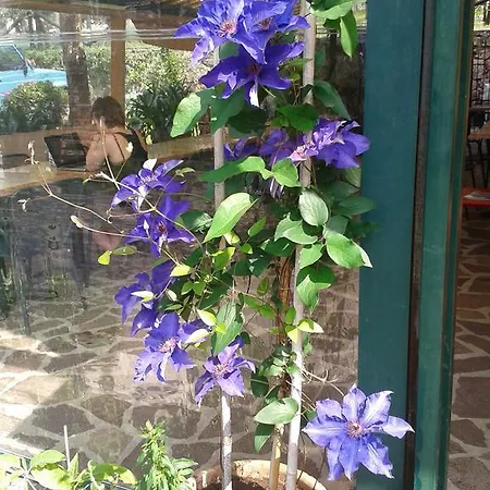 Le Maior * Brenzone sul Garda