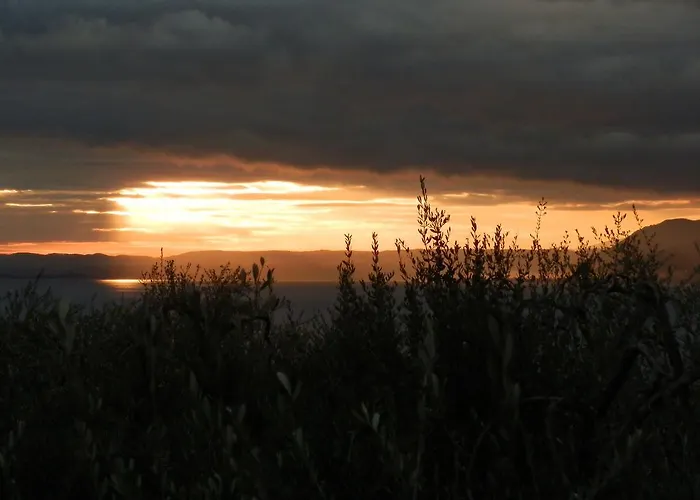 Le Maior Campeggio *