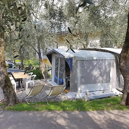 Le Maior