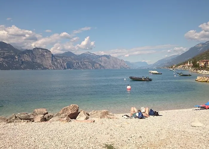 Le Maior